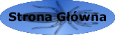 Strona G��wna