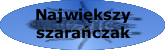 Najwiekszy szara�czak